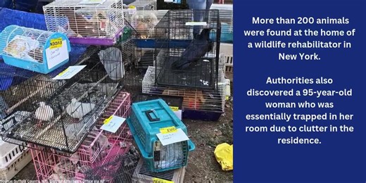 Dozens of ailing animals found in home where woman was ‘trapped’ by debris, police say