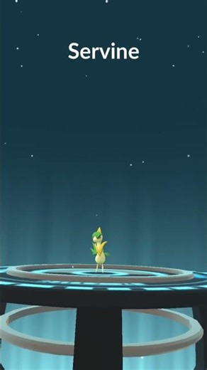 Snivy Evolution 🌿 Pokémon GO #pokemongo #pokemon #youtubeshorts #viral