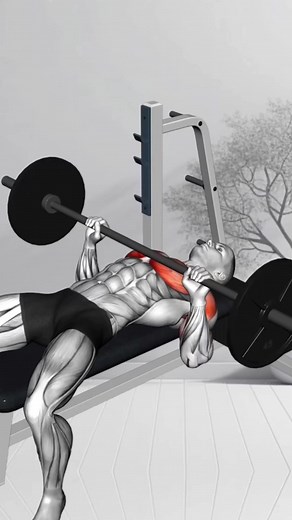 Melhores Exercícios para Bíceps e Tríceps: Treino de Academia