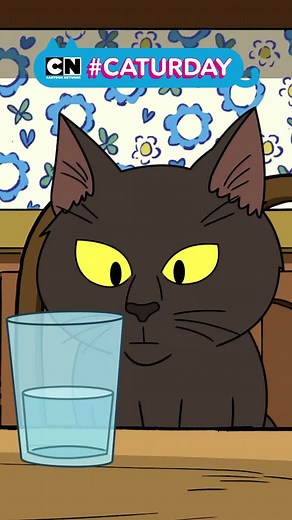 Meow-Mix for a Fun #Caturday | Craig of the Creek