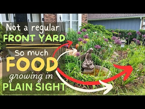 How to make an EDIBLE front yard LANDSCAPE with examples of edible plants to use