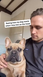 8.4K views · 2.1K reactions | Seeing how my dog reacts when I kiss...