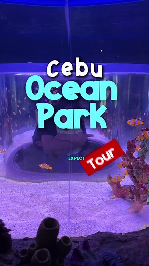 Explore Cebu Ocean Park: A Family-Friendly Adventure