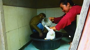 21K views · 500 reactions | SokYaa Very Surprise Cos Mom Bathing For Lovely Rabbit Like This | ToTo Video | Facebook
