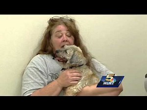 Wild Week Recap: Cats Drop in on G20 and Other Surprise Animal Appearances