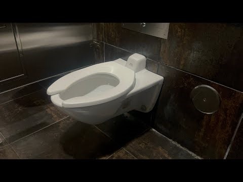 Toto Toilet Flush | INspiration Interiors, Honolulu, Oahu, Hawaii, USA