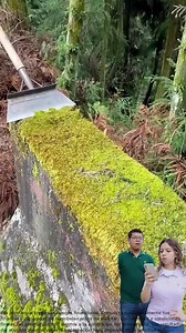 3.2K views · 52 reactions | Sin cargos ocultos, revisión rápida en línea | Bee Credito2025 | Facebook