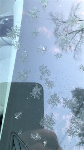 Beautiful Ice Crystals on My Windshield
