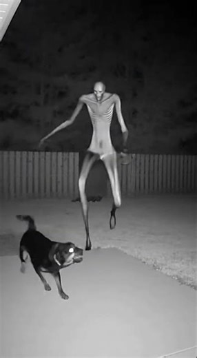 Horrific commotion seen in Home cctv #shorts #horror