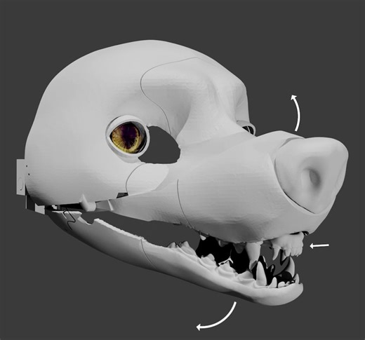 Wolf Fursuit Base: Moving Jaw & Bared Teeth - 3D Printing STL Model (instant Download) - Etsy UK