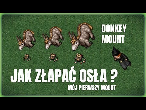 Jak złapać Osiołka ? | Najłatwiejszy Mount | Tibia Mounts