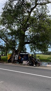 945K views · 13K reactions | Anggong sik tumbas es tape. | Beni Sasangka | Facebook