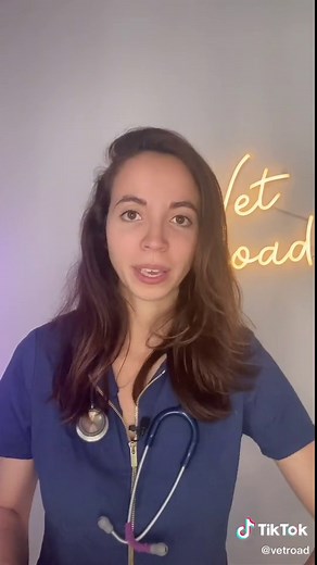 La philosophie de Descartes sur les animaux et les machines