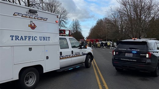 2 people killed, 2 injured in Tacoma head-on collision; dog also killed