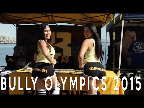 Los Angeles' biggest American Bully show 2015