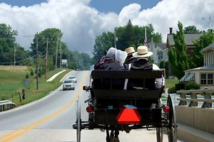 The Amish Are Getting Drive-Thru COVID-19 Testing For Horse and Buggy