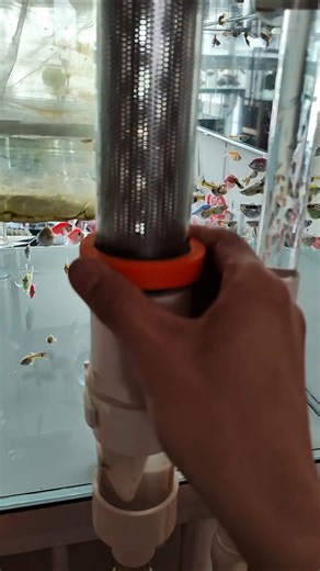 One-Click Fish Tank Waste Drain! Cleaning Made Super Easy 🐟✨#FishTank #AquariumCleaning #FishKeeping