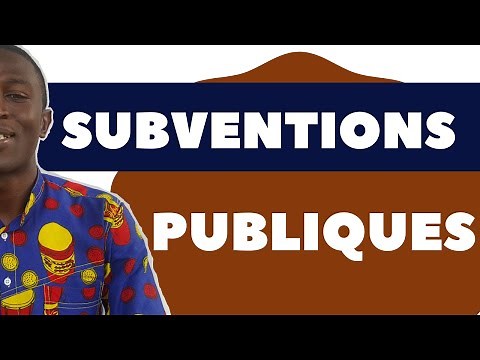 How are public subsidies accounted for?