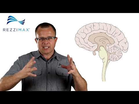 The science behind Rezzimax Pro Tuner