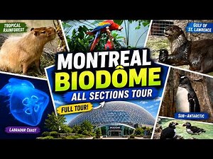 Exploring All Sections of the Montréal Biodôme | Rainforest, Penguins, Puffins & More