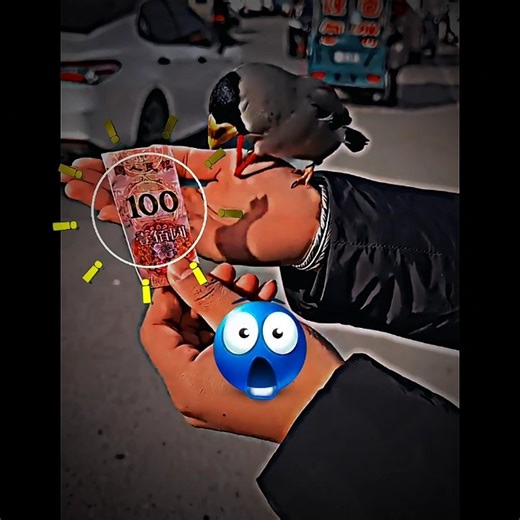 Money ☠️ #trollface #edit #shorts