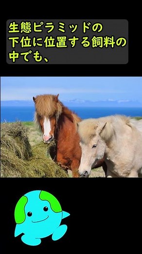 人間が家畜化できなかった動物【トラ】 #shorts