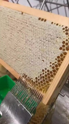 16K views · 109 reactions | random facts that could save your life #randomfacts #randomcuriosities | Amazing Facts | Facebook