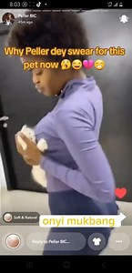 Peller cat don first peller touch Javis bobbie 🤣🤣🤣 #video #fypシ゚viralシ #peller #foryoupage #reelsvideo #videos #trendingvideo #viral #reaction #fyp | Onyi Mukbang