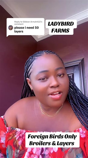 Discovering Day-Old Chicks: A Farm Life Journey