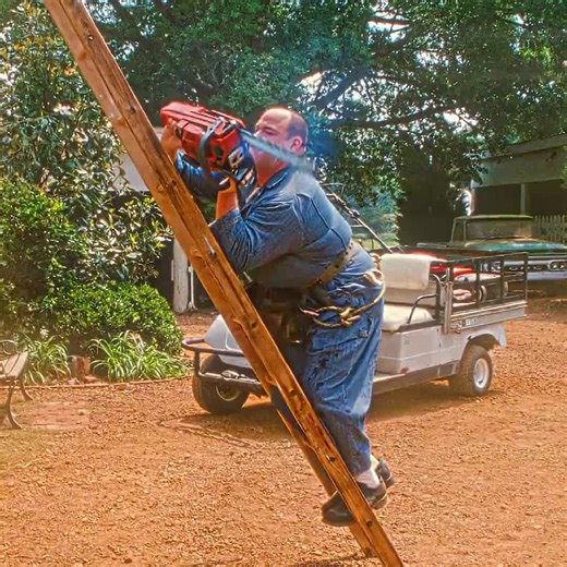 Top Epic Hollywood Movie Scenes to Watch