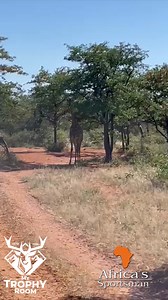 Cant wait to see the comments from the uninformed keyboard warriors? My Trophy Room | Africa's Sportsman