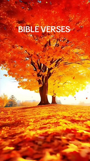 10 Powerful Bible Verses of Healing