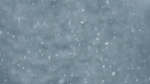 Download Heavy Snow Background Falling for free