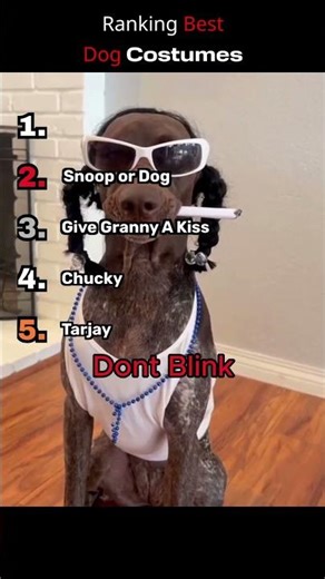 Top 5 FUNNIEST Dog Costumes🐶 #funny #pets