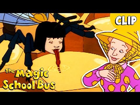 How Bees Turn Nectar into Honey | Science for Kids | The Magic School Bus