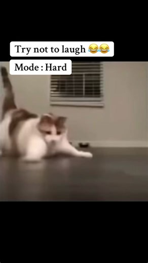 Hard Mode Try Not to Laugh Challenge