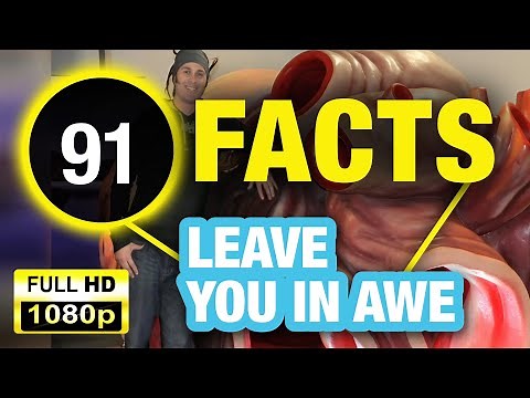 91 Incredible Facts That You Didn’t Learn in School!