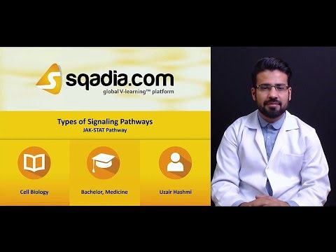 Types of Signaling Pathways | JAK-STAT Pathway