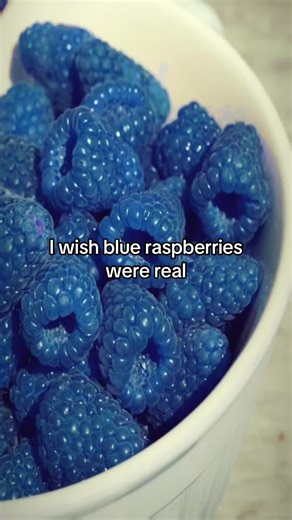 The Fantasy of Blue Raspberries: What If They Were Real?