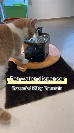 Tag a pet parent who NEEDS this fountain upgrade#Accokids #catwaterfountain #petlife #catsoftiktok #cataccessories #catessentials #tiktokshopmademebuyit