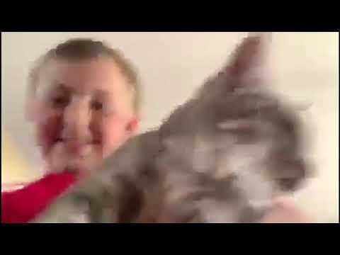 Kid microwaves cat