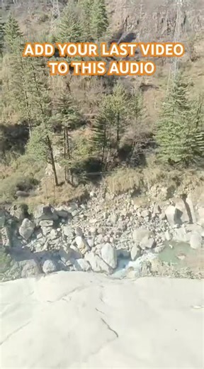 The Last Camera Roll From My Gallery 🌼 | #naturelovers #naturephotography