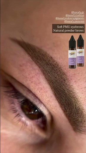 Powder Brow Tinting Tutorial | Ombre Brows PMU Step by Step | Permanent Makeup Master @ElaheMaster