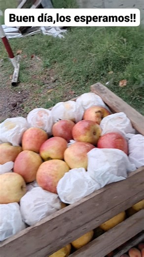 Nelson Fernandez on Reels