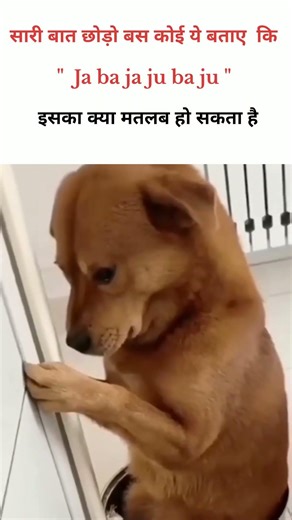 Ja ba ja ju ba ju #funnymemes #trendingshorts #funny