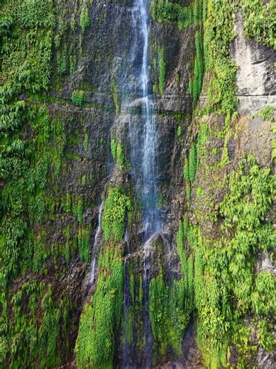 Cascada las Flores, Tabasco's Majestic Waterfall