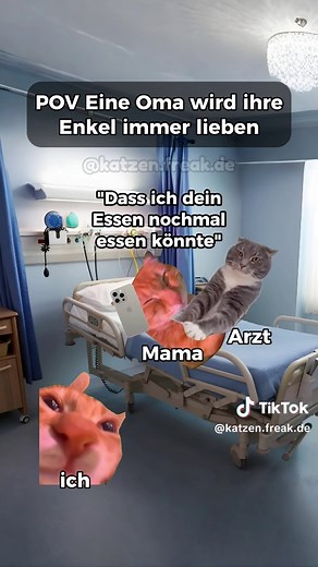 Omas sind die Besten - Lustige Katzenvideos