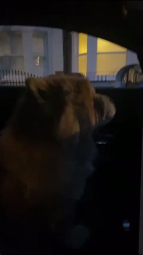 Janis Anderson (@janisanderson0)’s videos with original sound - Janis Anderson