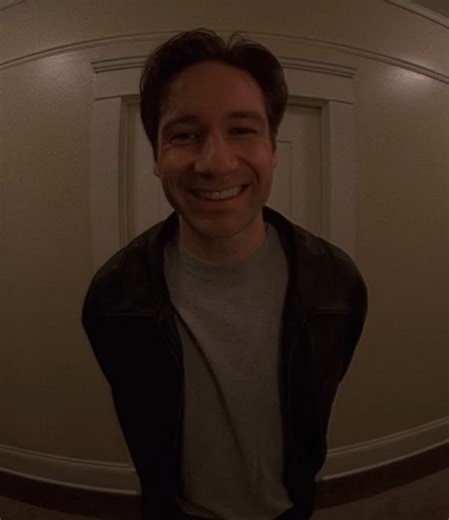 sorry it’s true #foxmulder #thexfiles #xfiles #davidduchovny | Fox Mulder