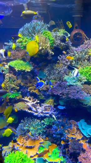 89K views · 3.2K reactions | Do You Recognize A New Extension Of The...